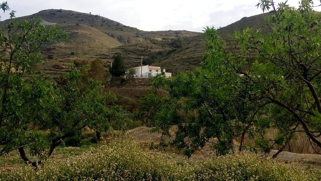 Гостевой дом Cortijo Claudia Таберно Экстерьер фото